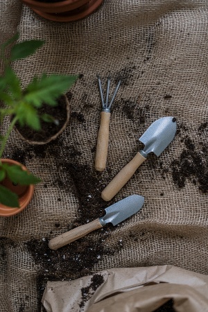Mini garden tools